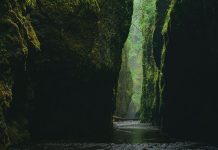 What archaeology is telling us about our forests